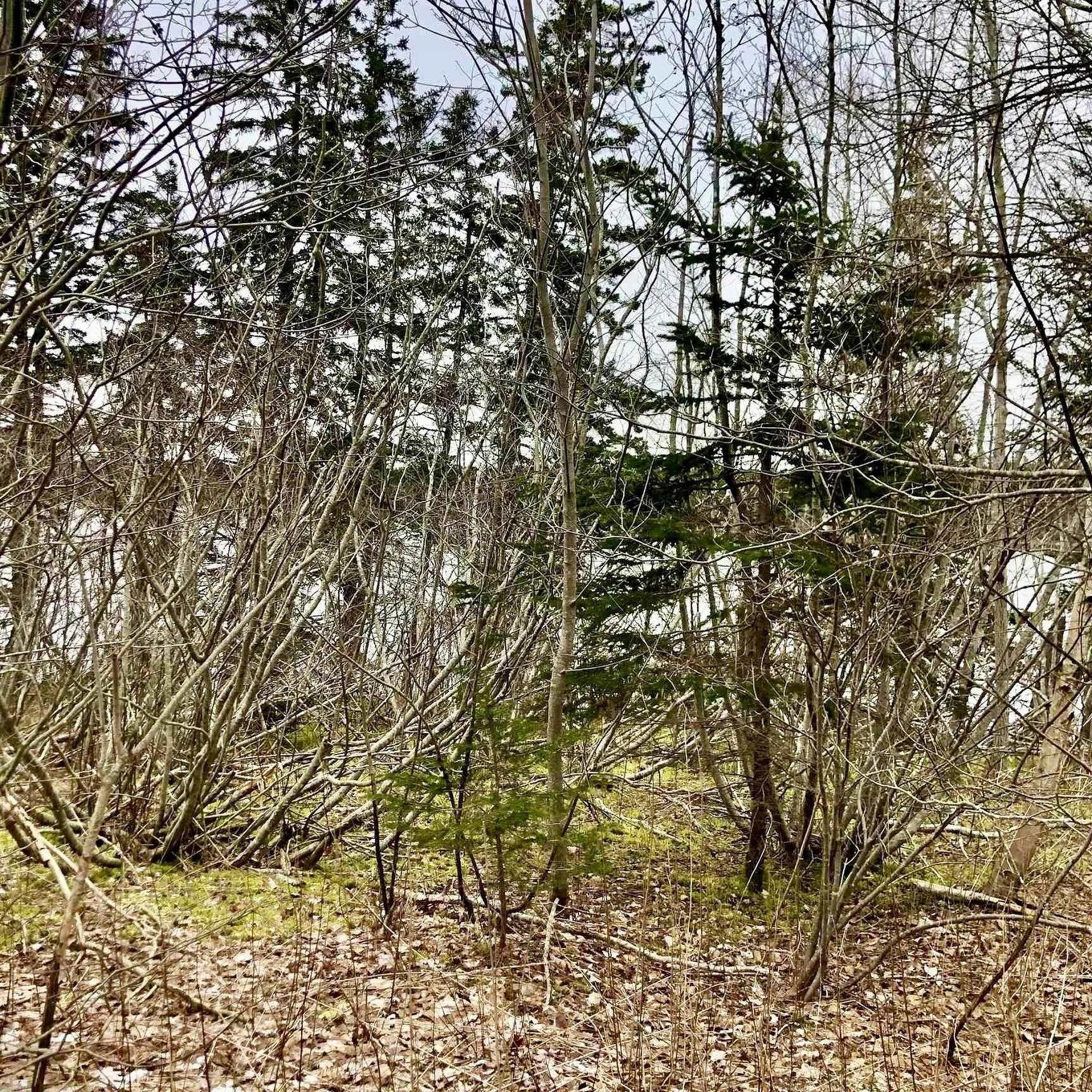 0 Main Rd., Hureauville, NS