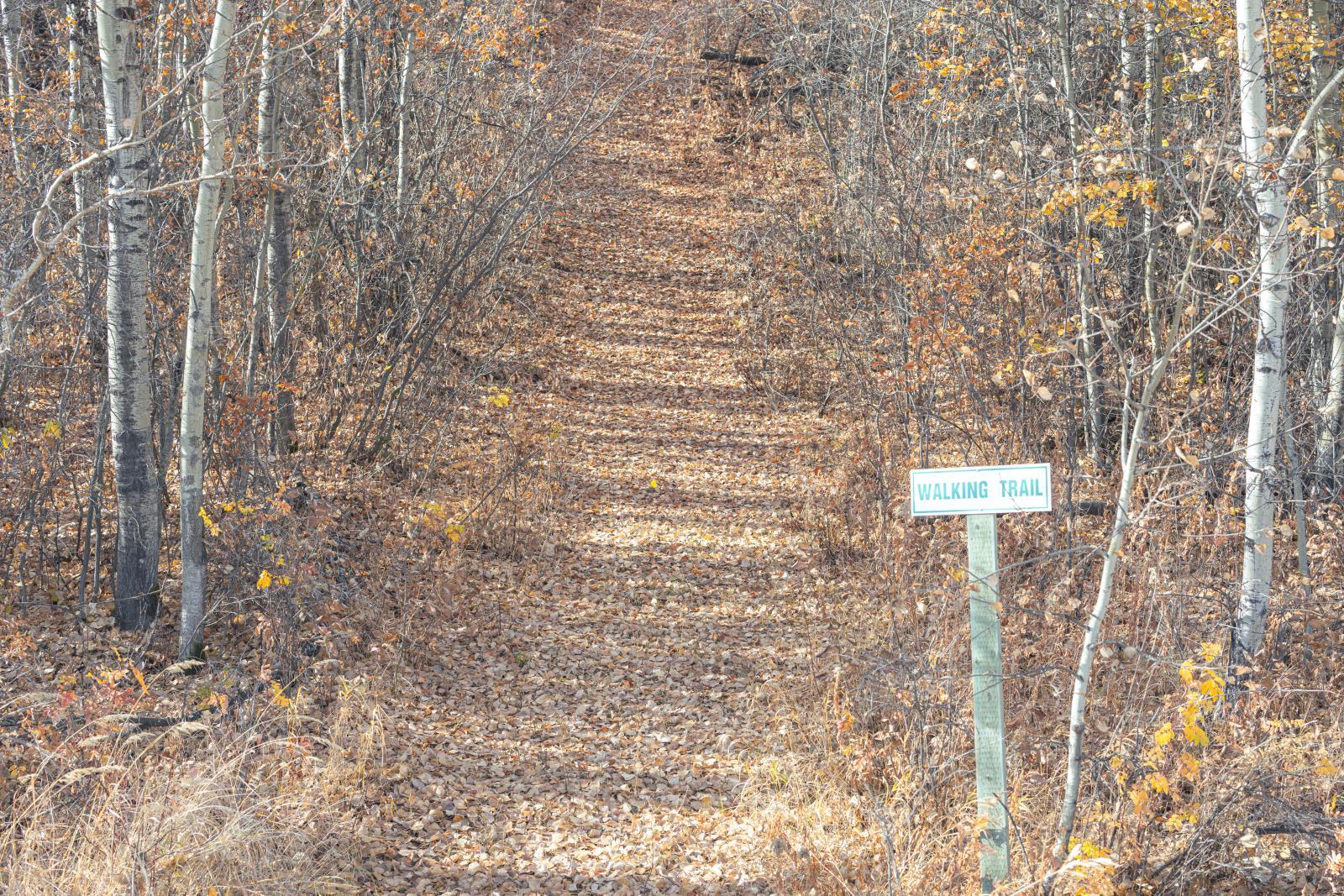 56309 Rge Rd 13, Lac Ste. Anne County, AB