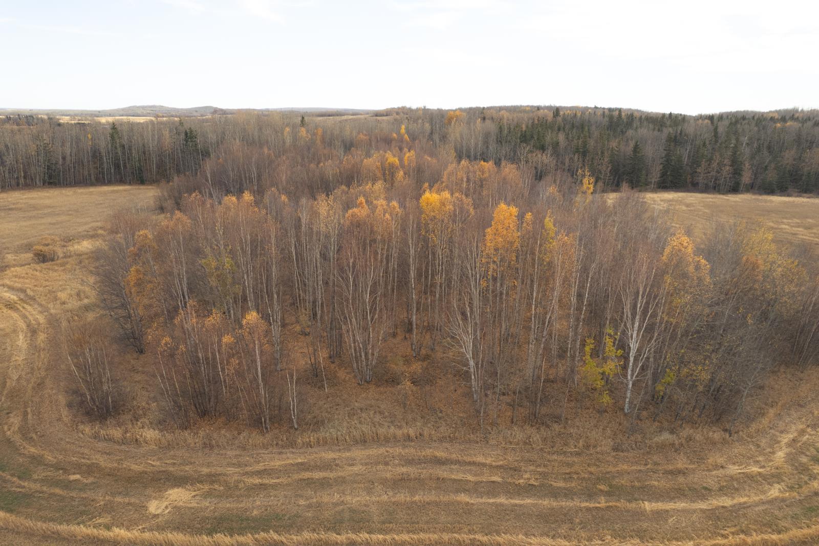 56309 Rge Rd 13, Lac Ste. Anne County, AB