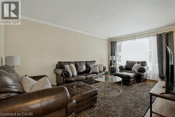 11 Carwyn Crescent, Hamilton, ON - Indoor Photo Showing Living Room