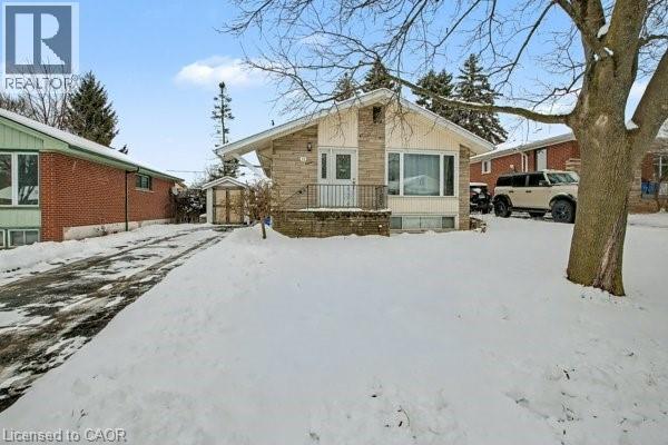 11 Carwyn Crescent, Hamilton, ON - Outdoor