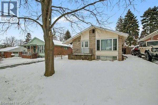 11 Carwyn Crescent, Hamilton, ON - Outdoor