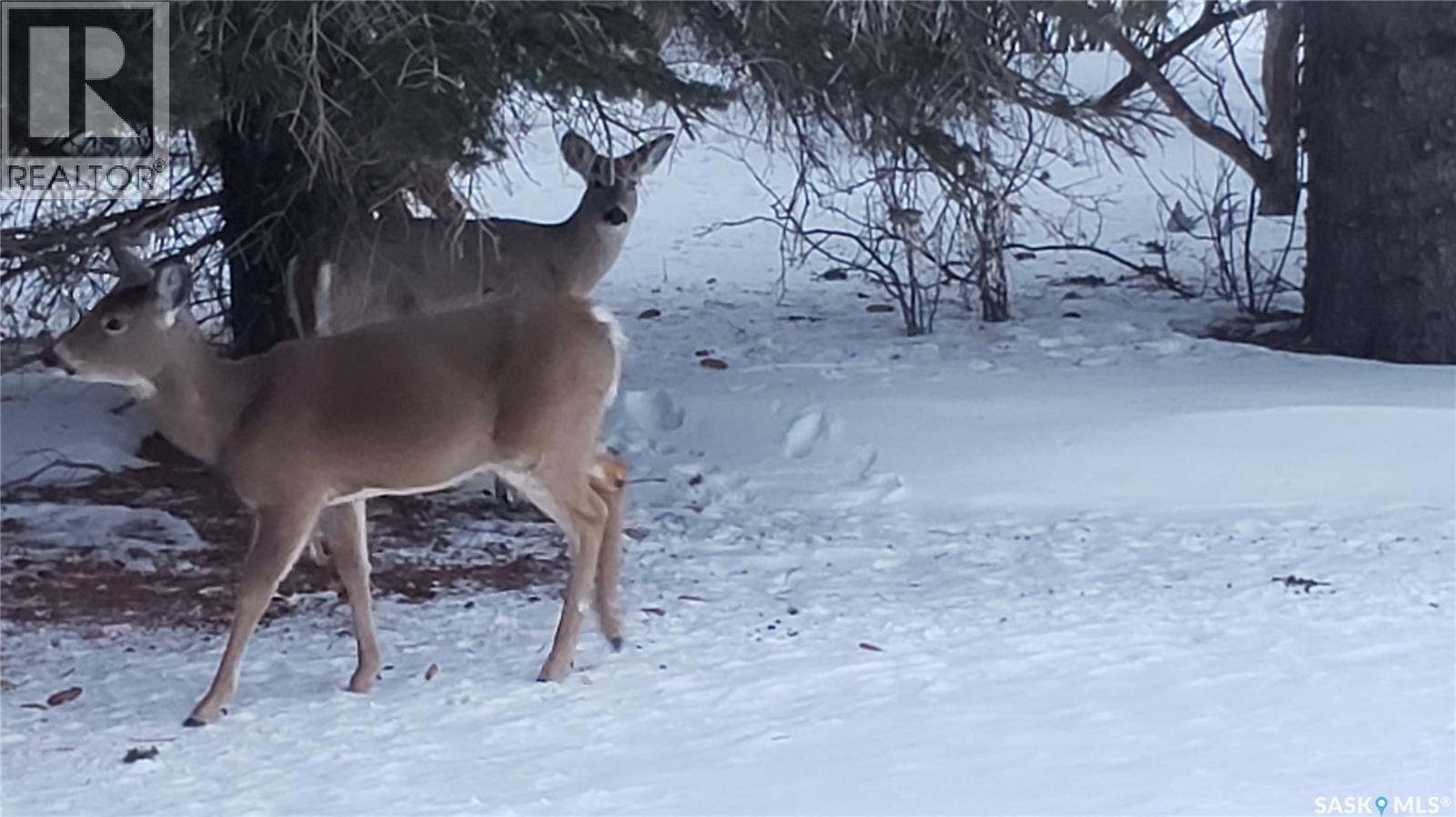 91 Moir Drive, Oxbow, SK - Outdoor With View