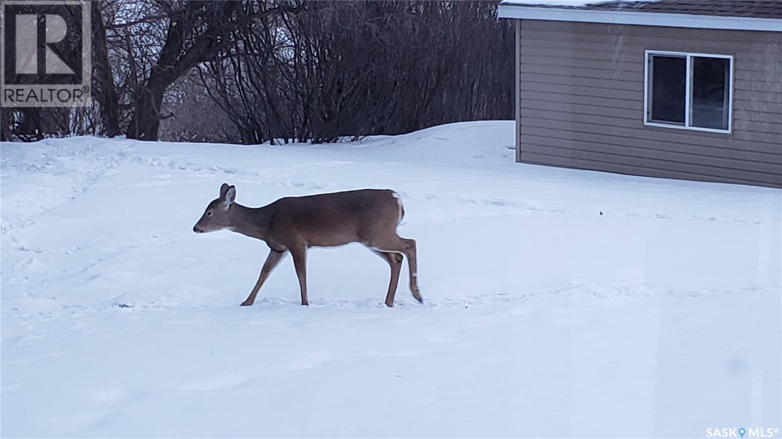 91 Moir Drive, Oxbow, SK - Outdoor