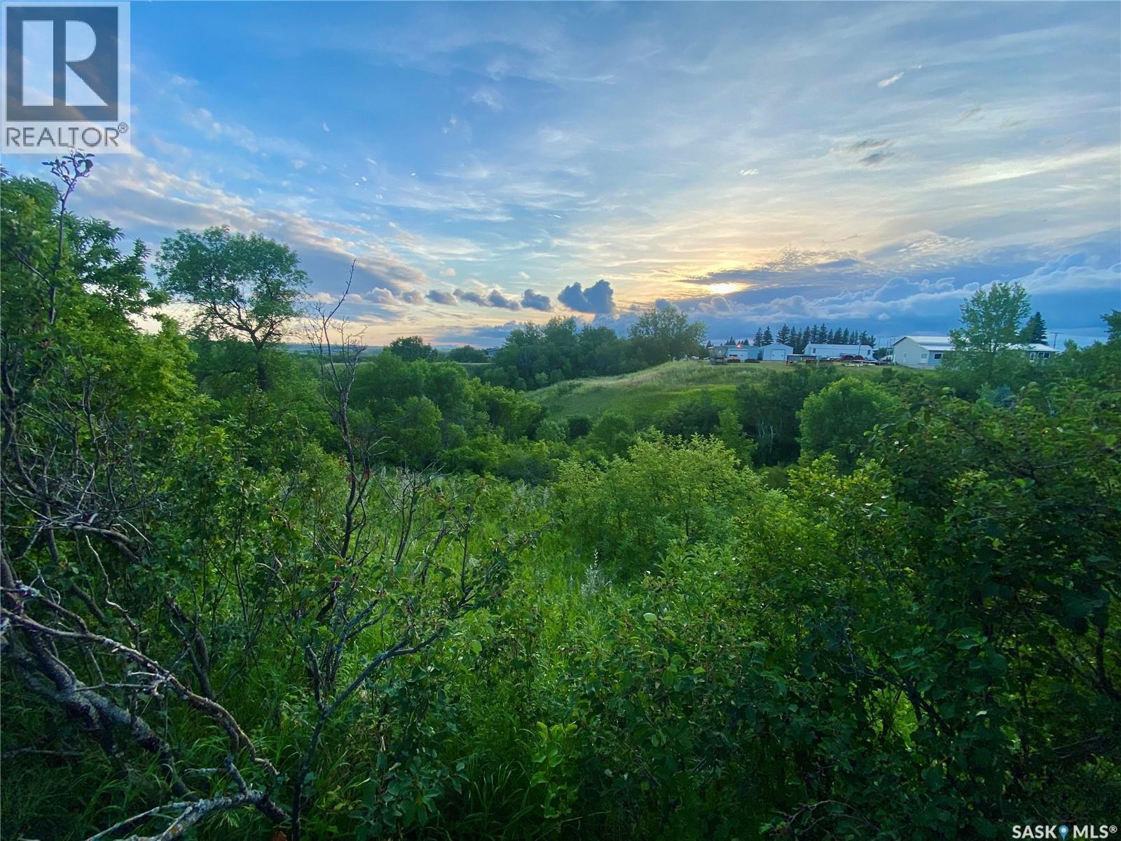 91 Moir Drive, Oxbow, SK - Outdoor With View