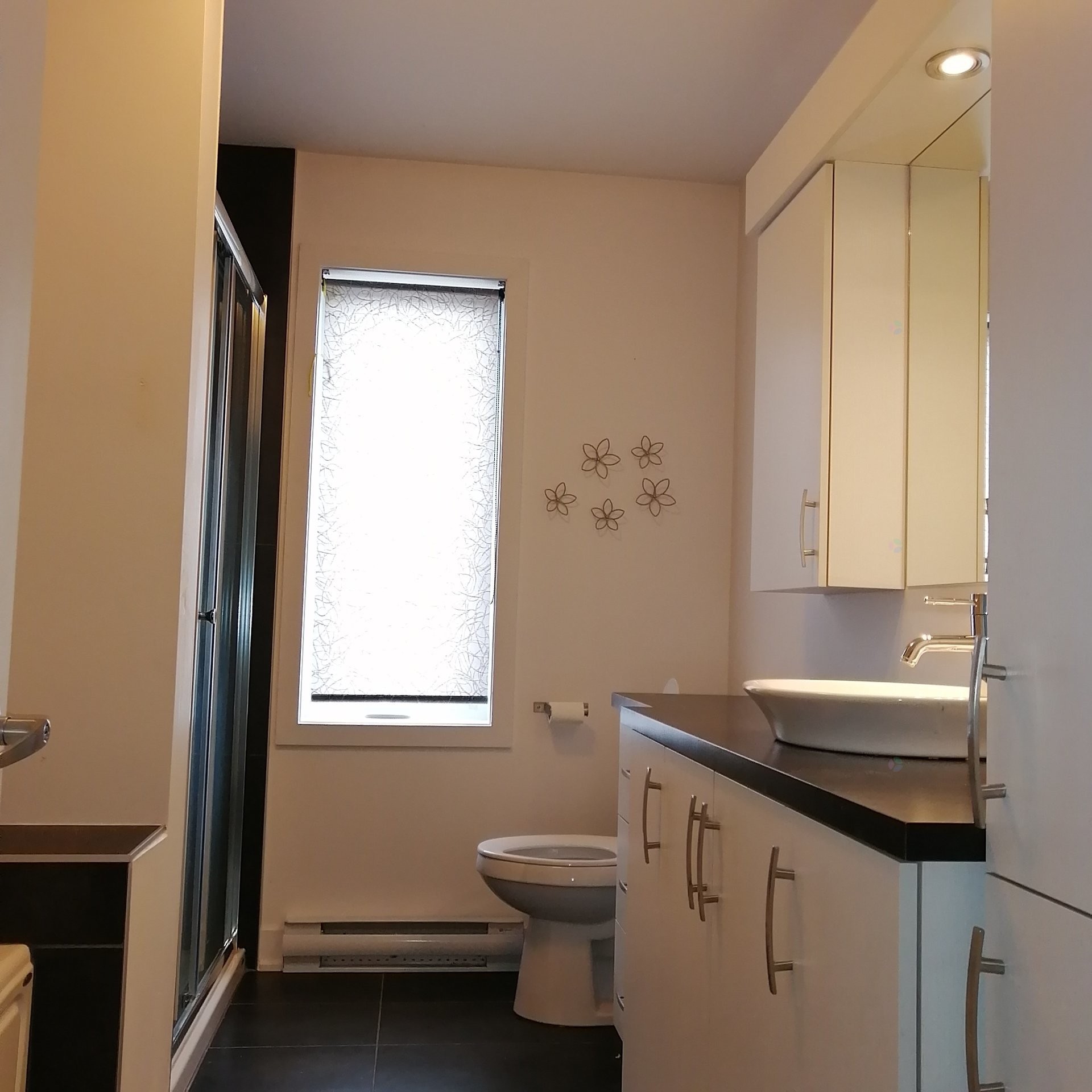 Salle de bains - 1-203 Rue St-Eugène, Salaberry-De-Valleyfield, QC - Indoor Photo Showing Bathroom