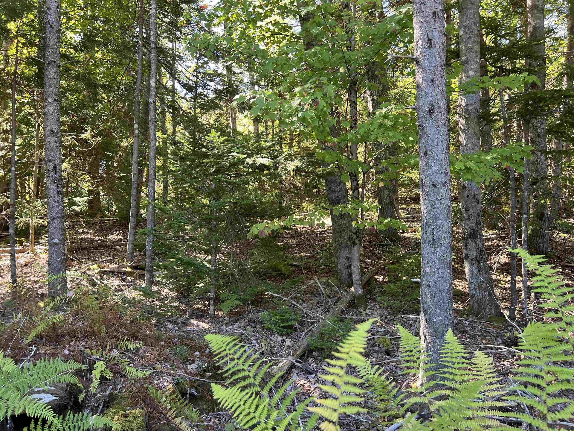 Lot 5 Conquerall Rd, Conquerall Bank, NS