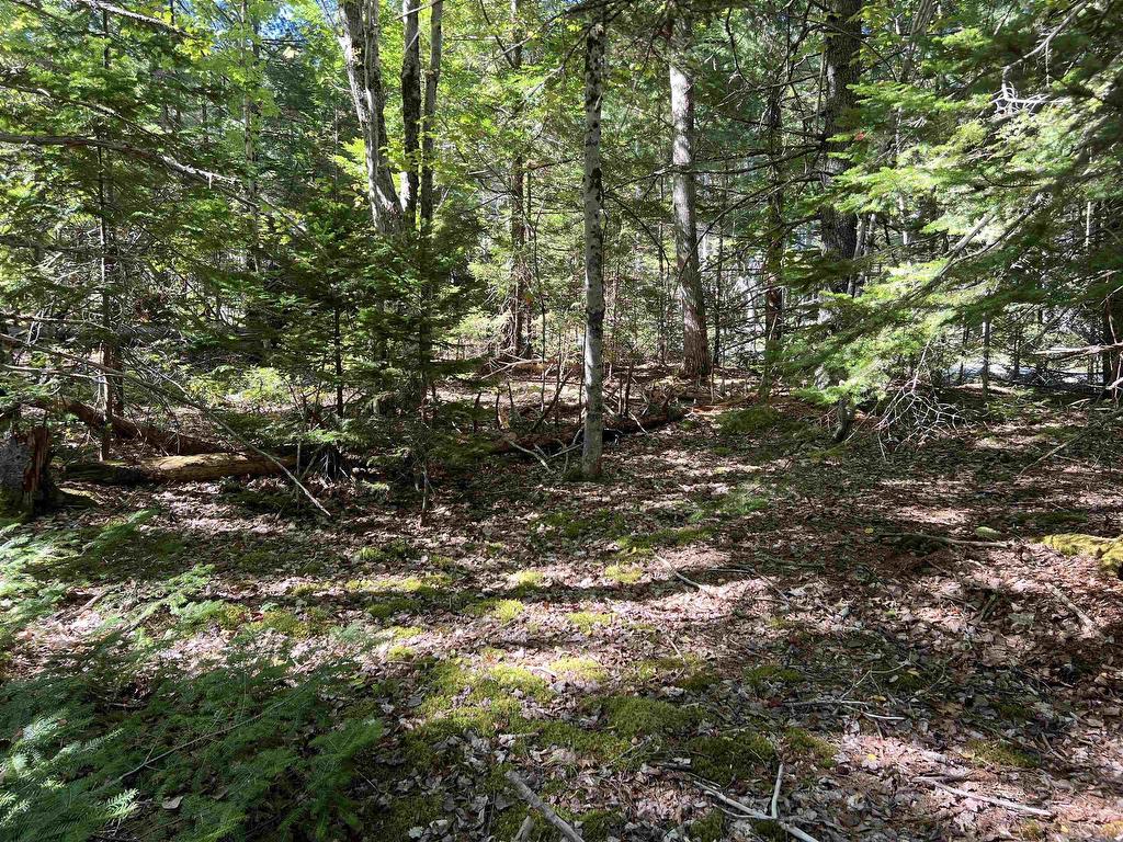 Lot 5 Conquerall Rd, Conquerall Bank, NS