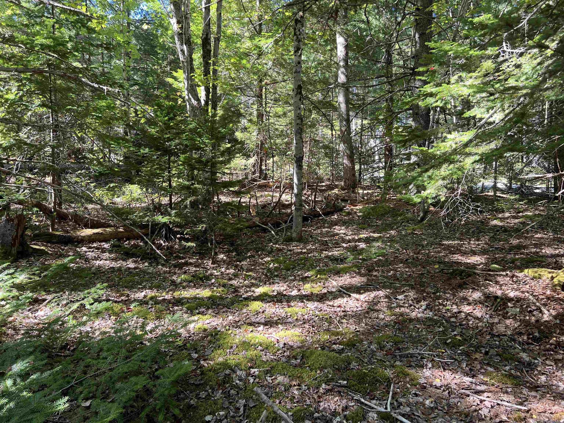 Lot 5 Conquerall Rd, Conquerall Bank, NS