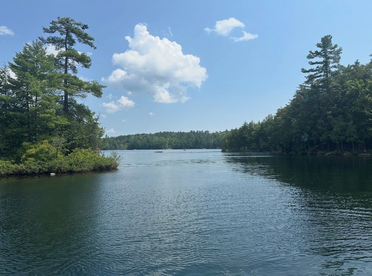 Vue sur l'eau - 18 Ch. Des Faisans, Val-Des-Monts, QC
