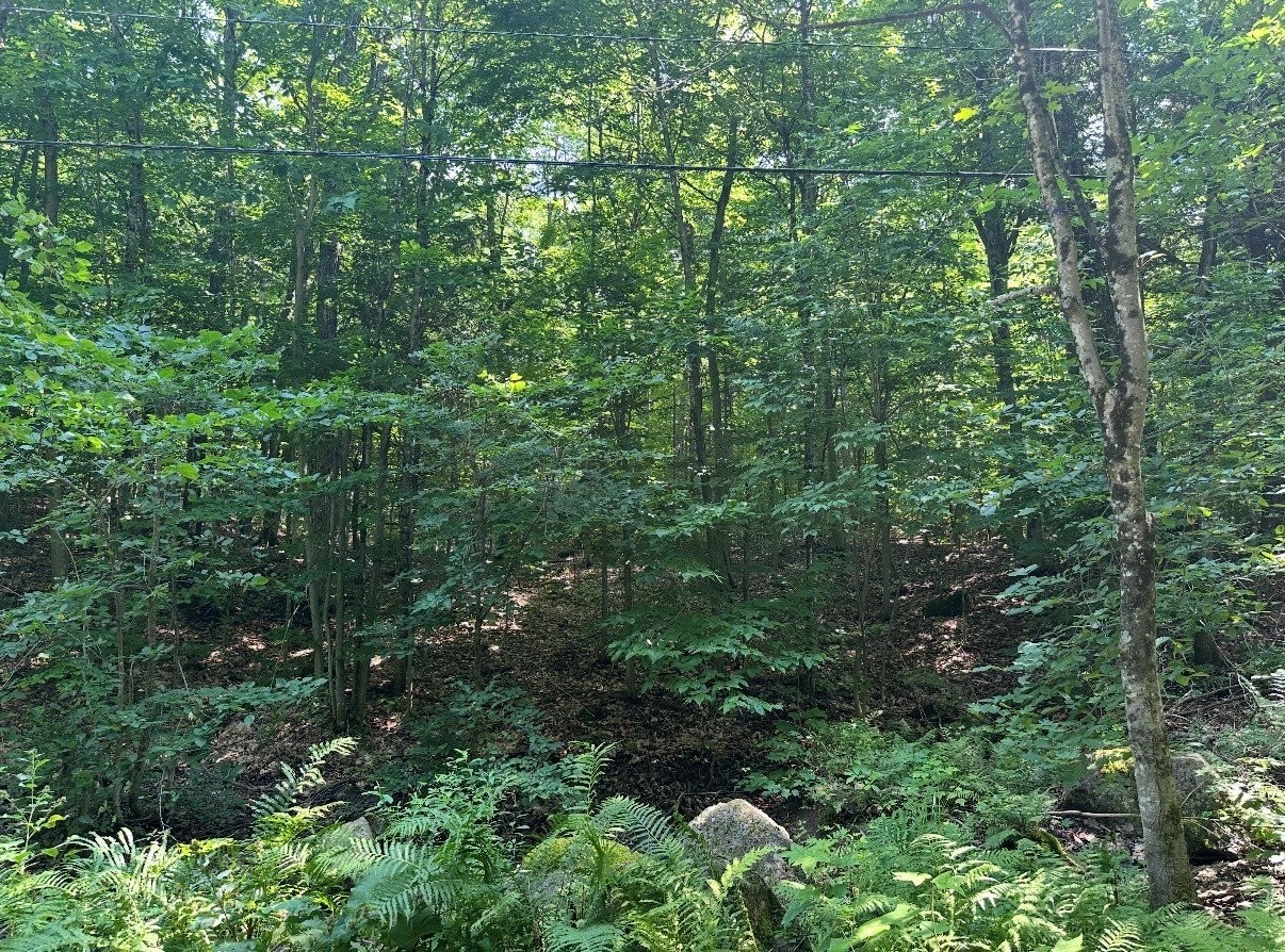 Terre/Terrain - 18 Ch. Des Faisans, Val-Des-Monts, QC