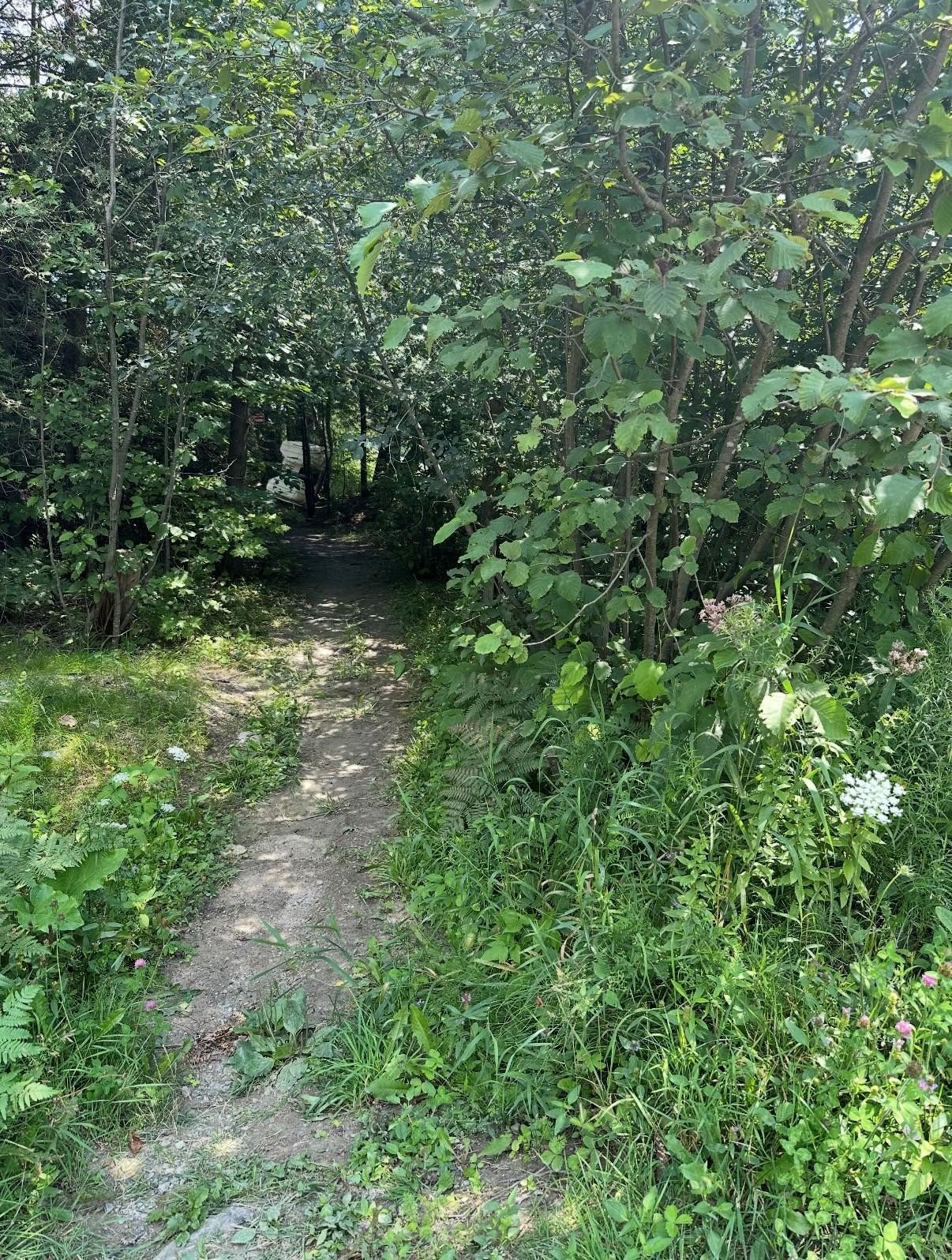 Terre/Terrain - 18 Ch. Des Faisans, Val-Des-Monts, QC