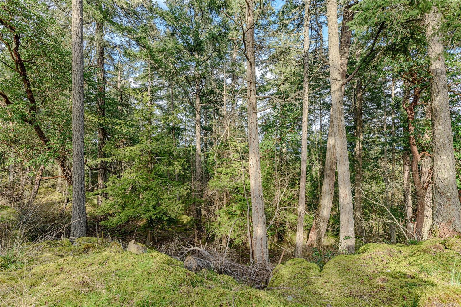 392 Langs Rd, Salt Spring, BC