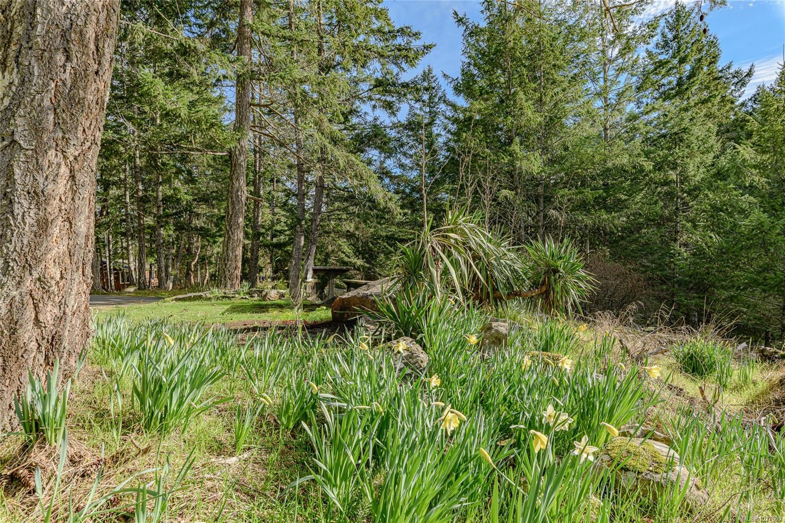 392 Langs Rd, Salt Spring, BC