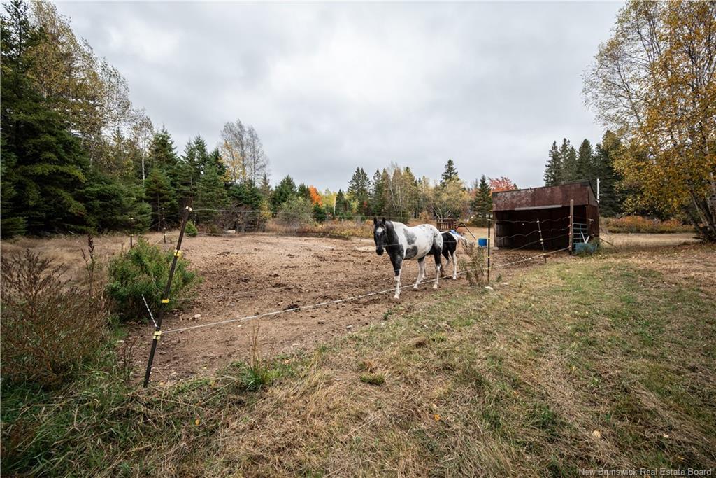 18 Church Hill Rd, Elgin, NB