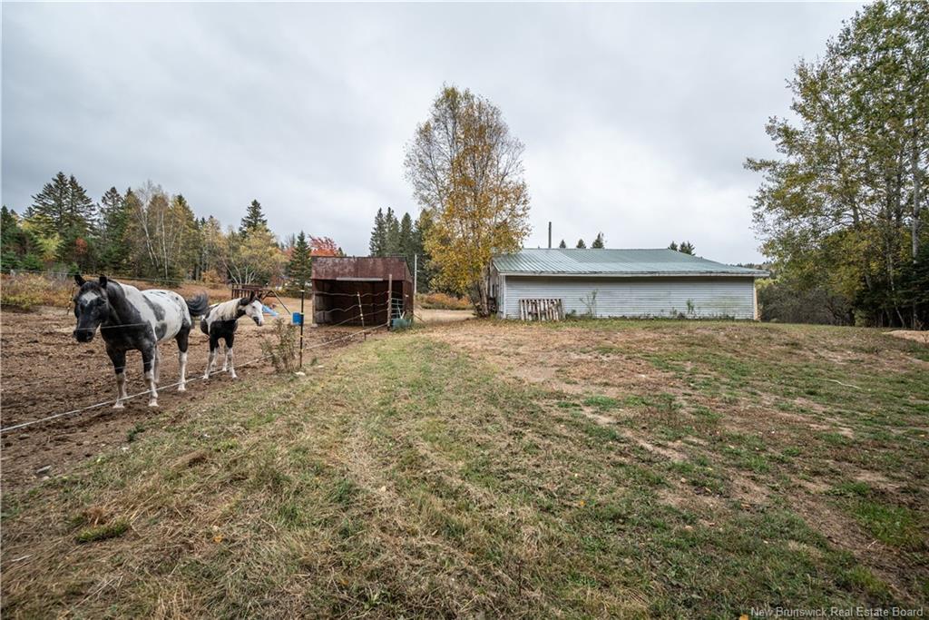 18 Church Hill Rd, Elgin, NB