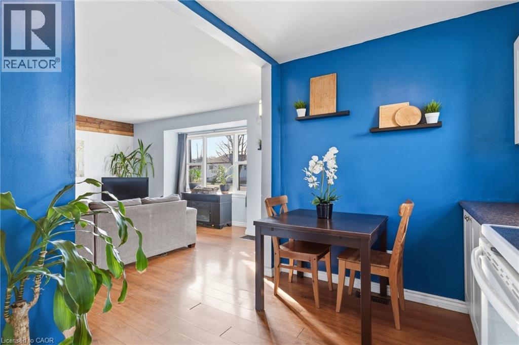 36 Blair Avenue, Hamilton, ON - Indoor Photo Showing Dining Room