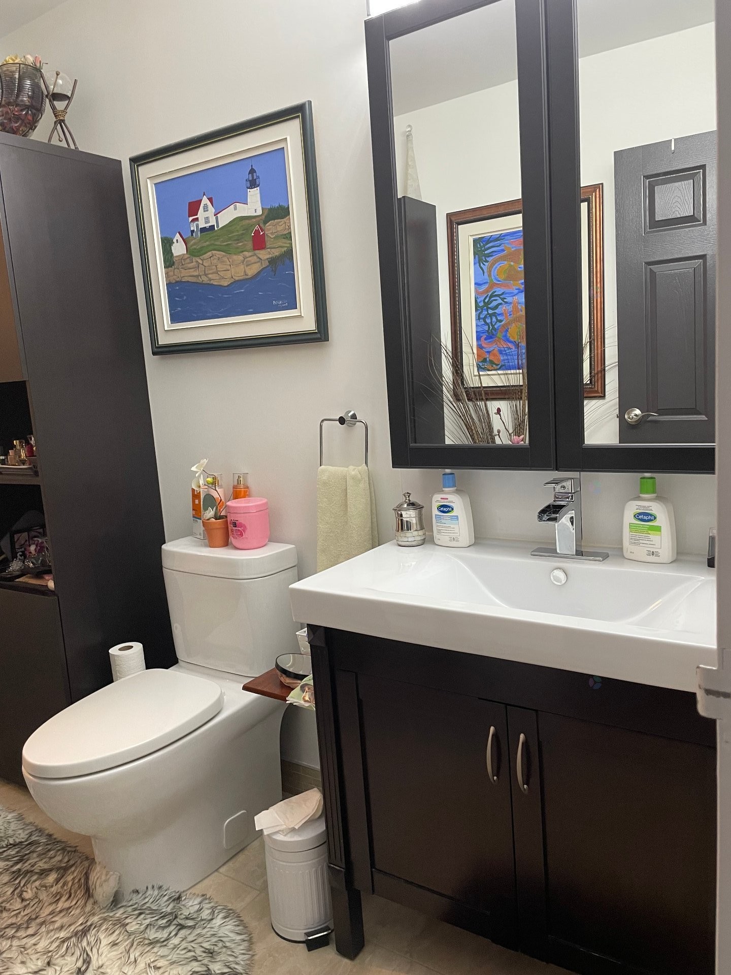 Salle de bains - 7-4420 Ch. Des Cageux, Laval (Chomedey), QC - Indoor Photo Showing Bathroom