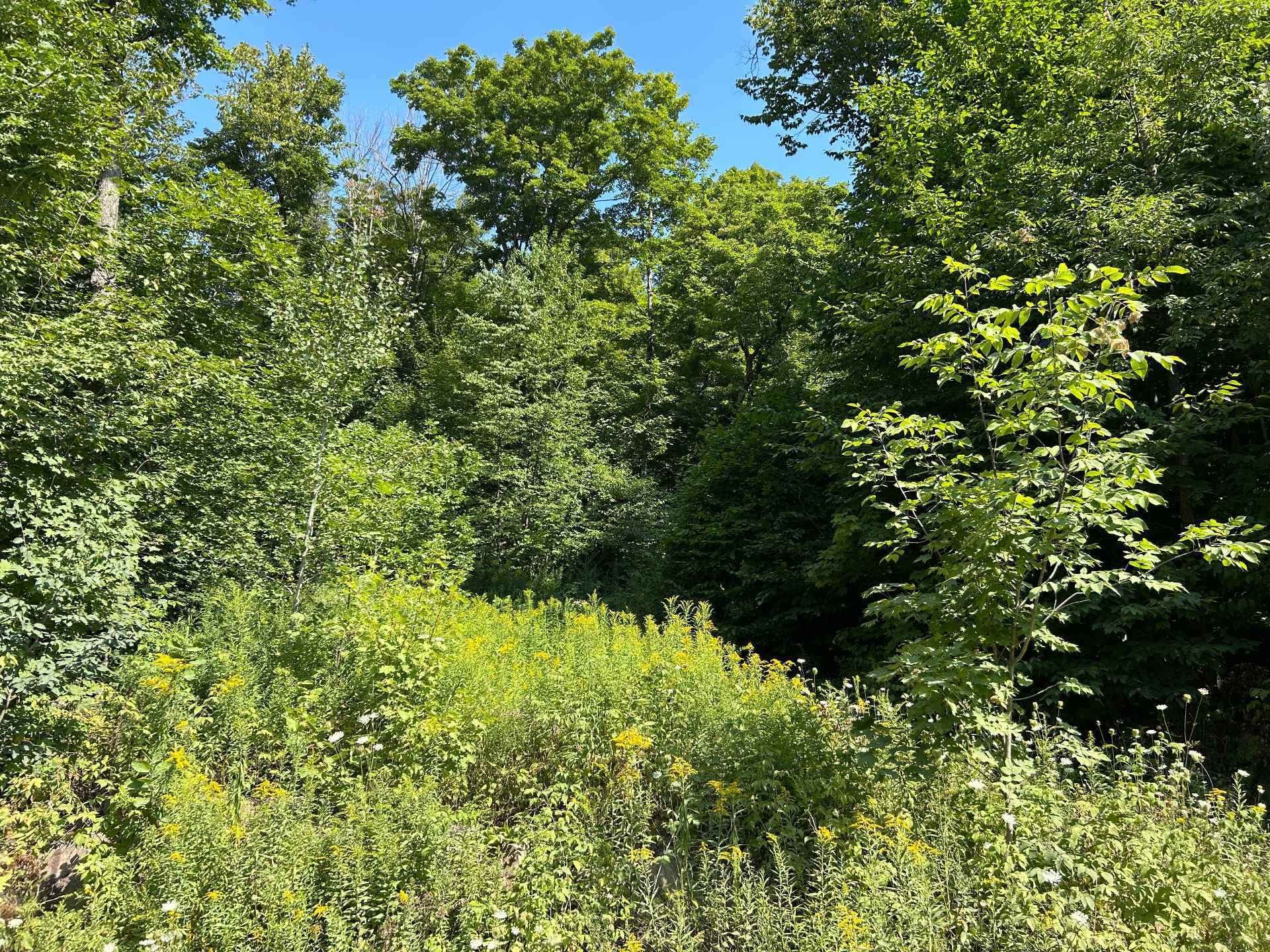 Terre/Terrain - Ch. Janitens, Brownsburg-Chatham, QC