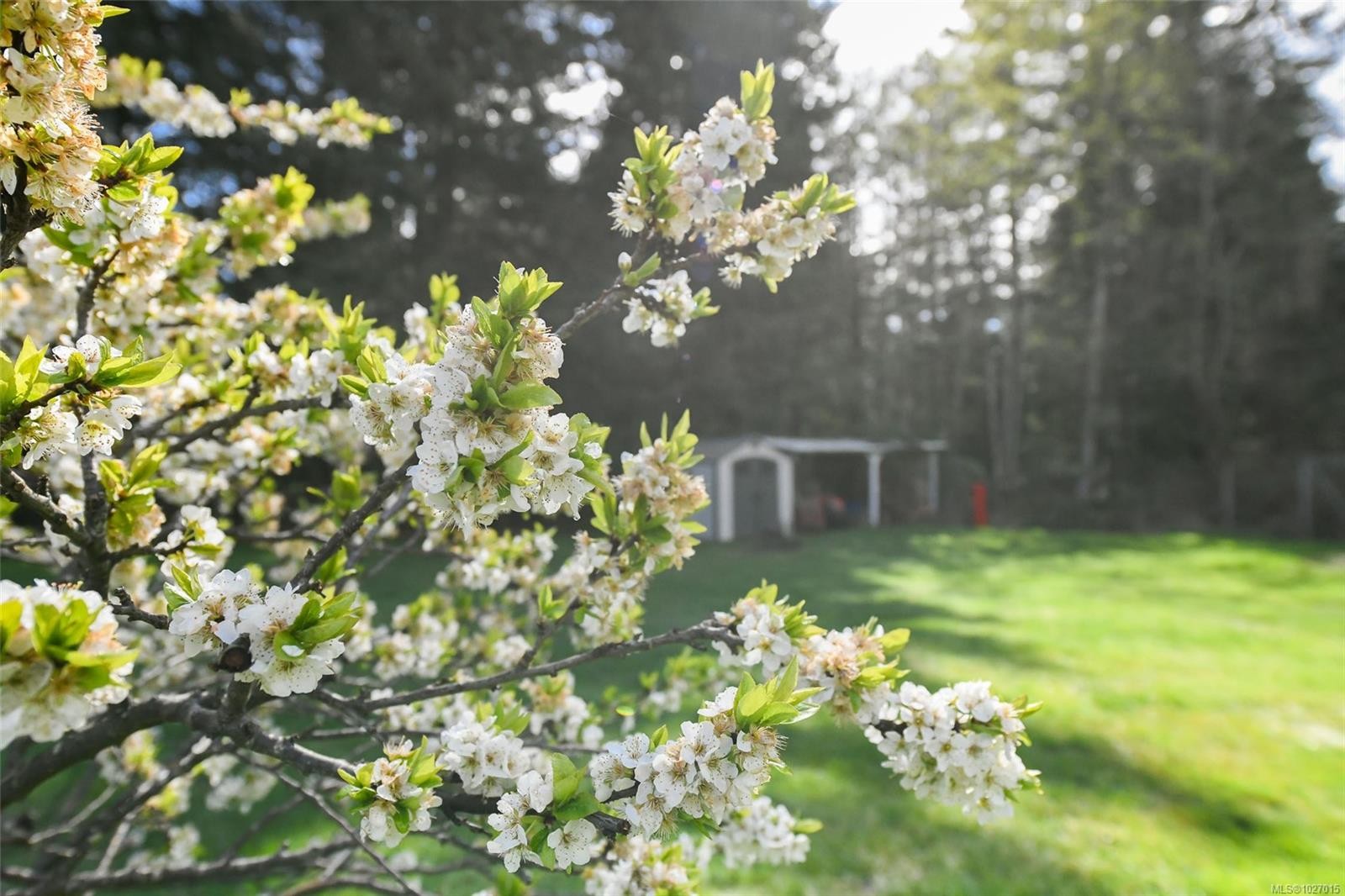 1787 Ryan Rd East, Comox, BC