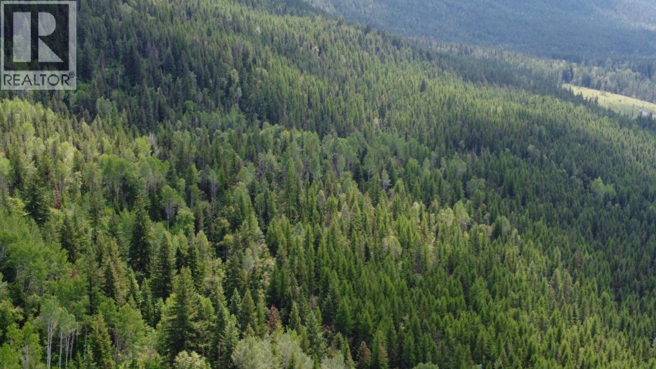 549 Rosebud Lake Road, Salmo, BC