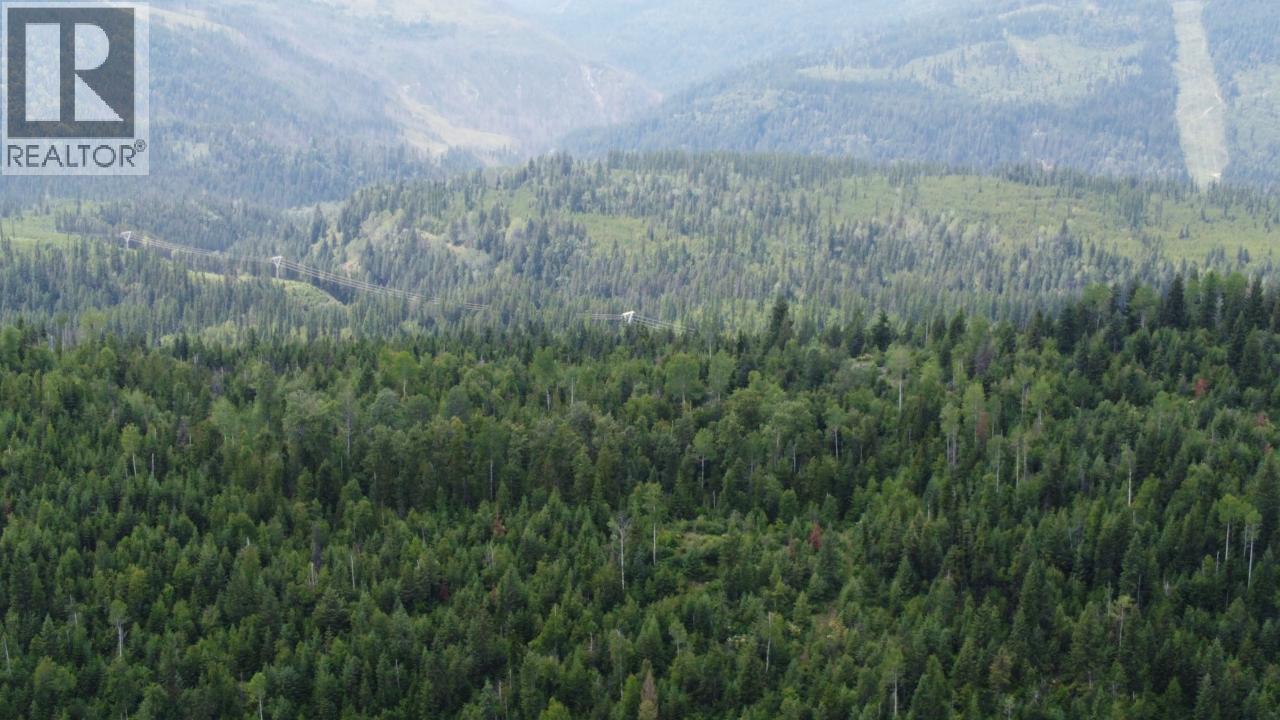 549 Rosebud Lake Road, Salmo, BC