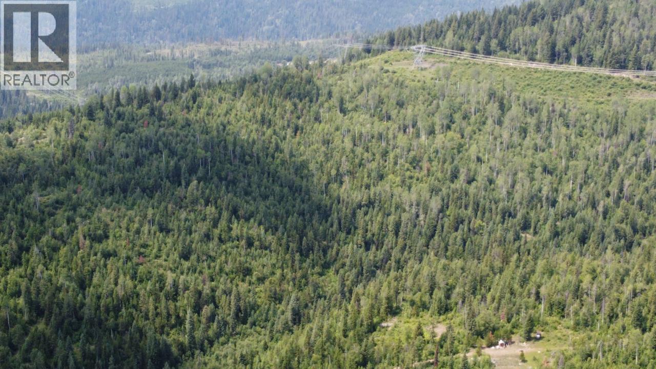 549 Rosebud Lake Road, Salmo, BC