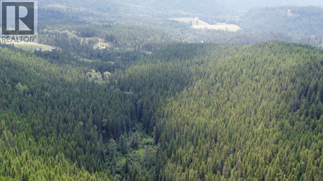 549 Rosebud Lake Road, Salmo, BC