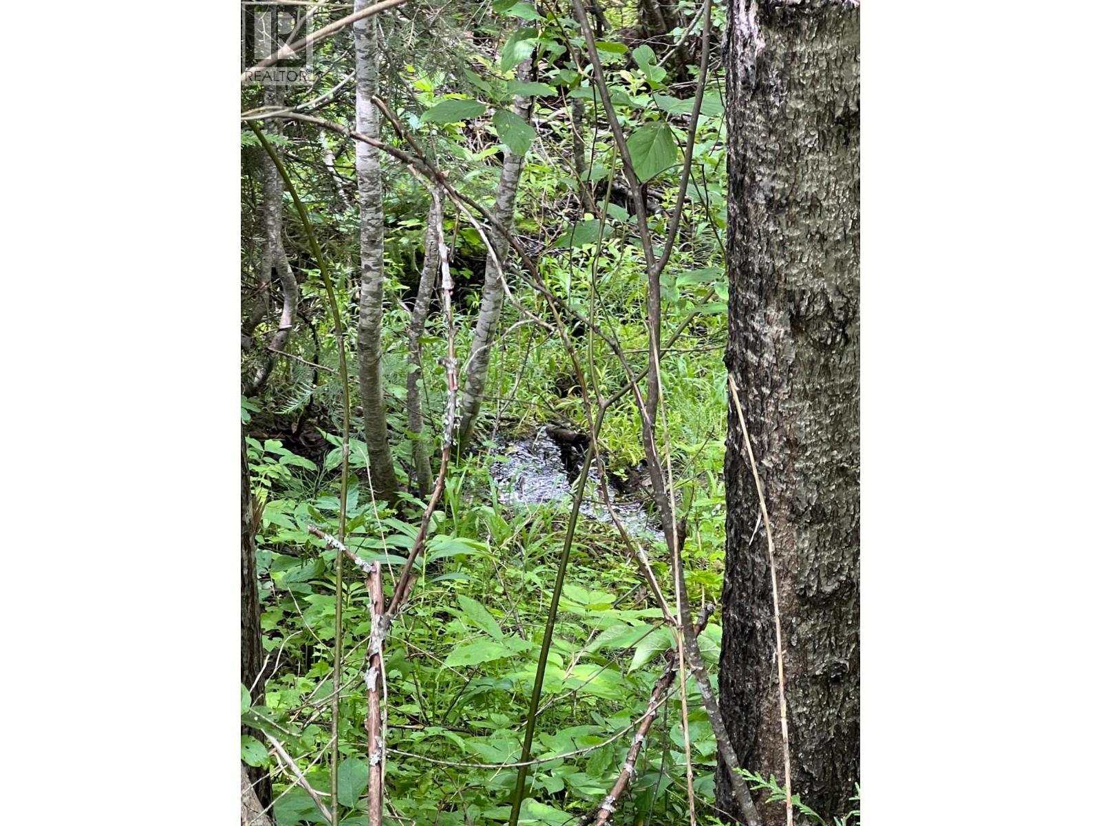 549 Rosebud Lake Road, Salmo, BC
