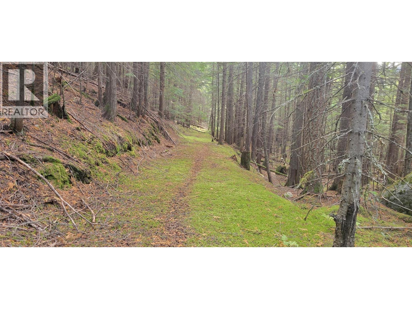 549 Rosebud Lake Road, Salmo, BC