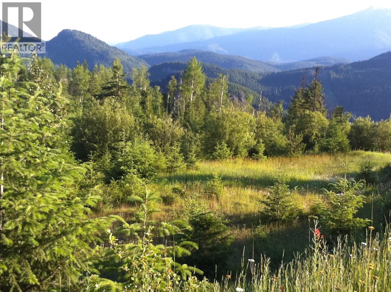 549 Rosebud Lake Road, Salmo, BC