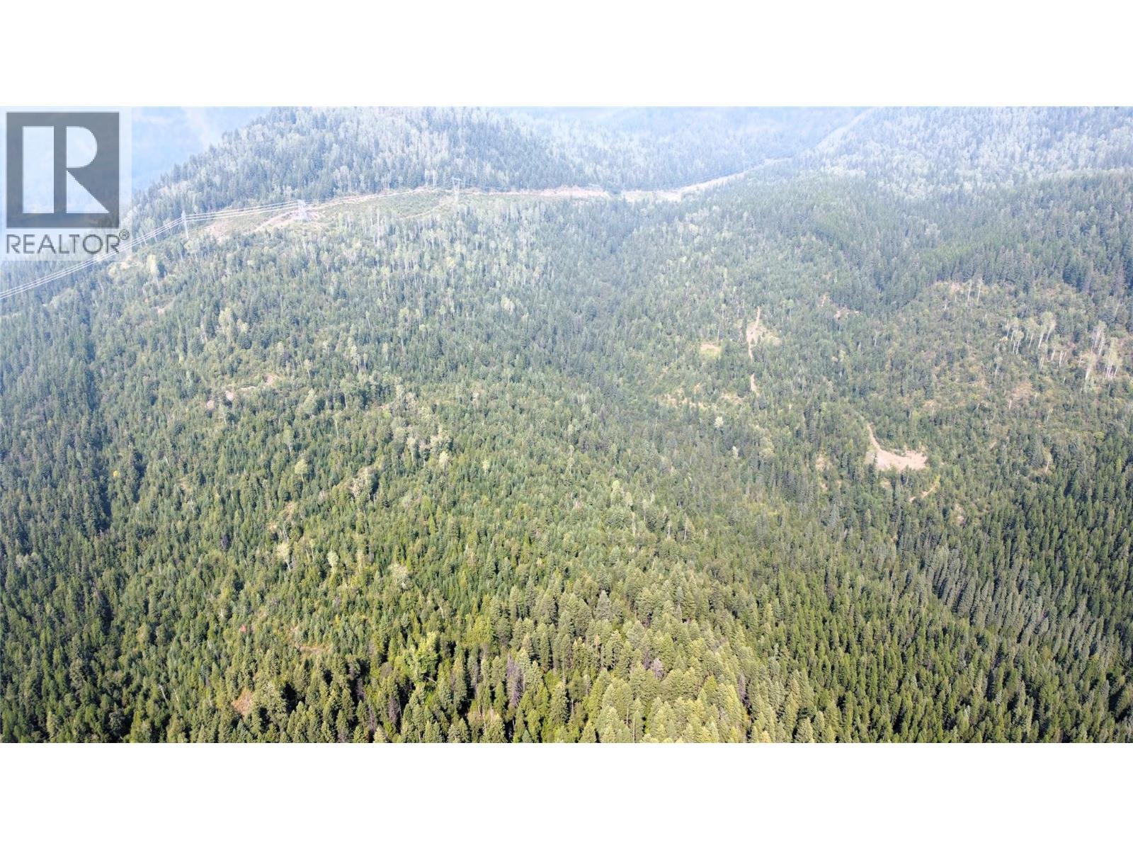 549 Rosebud Lake Road, Salmo, BC