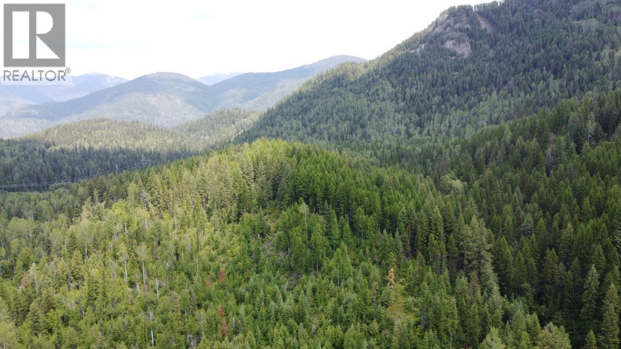 549 Rosebud Lake Road, Salmo, BC