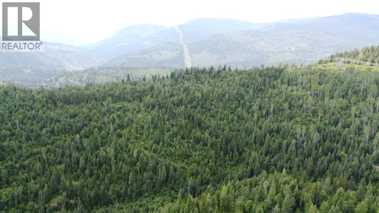 549 Rosebud Lake Road, Salmo, BC