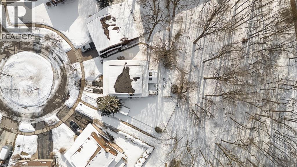 29 Muskoka Court, Kitchener, ON - Outdoor