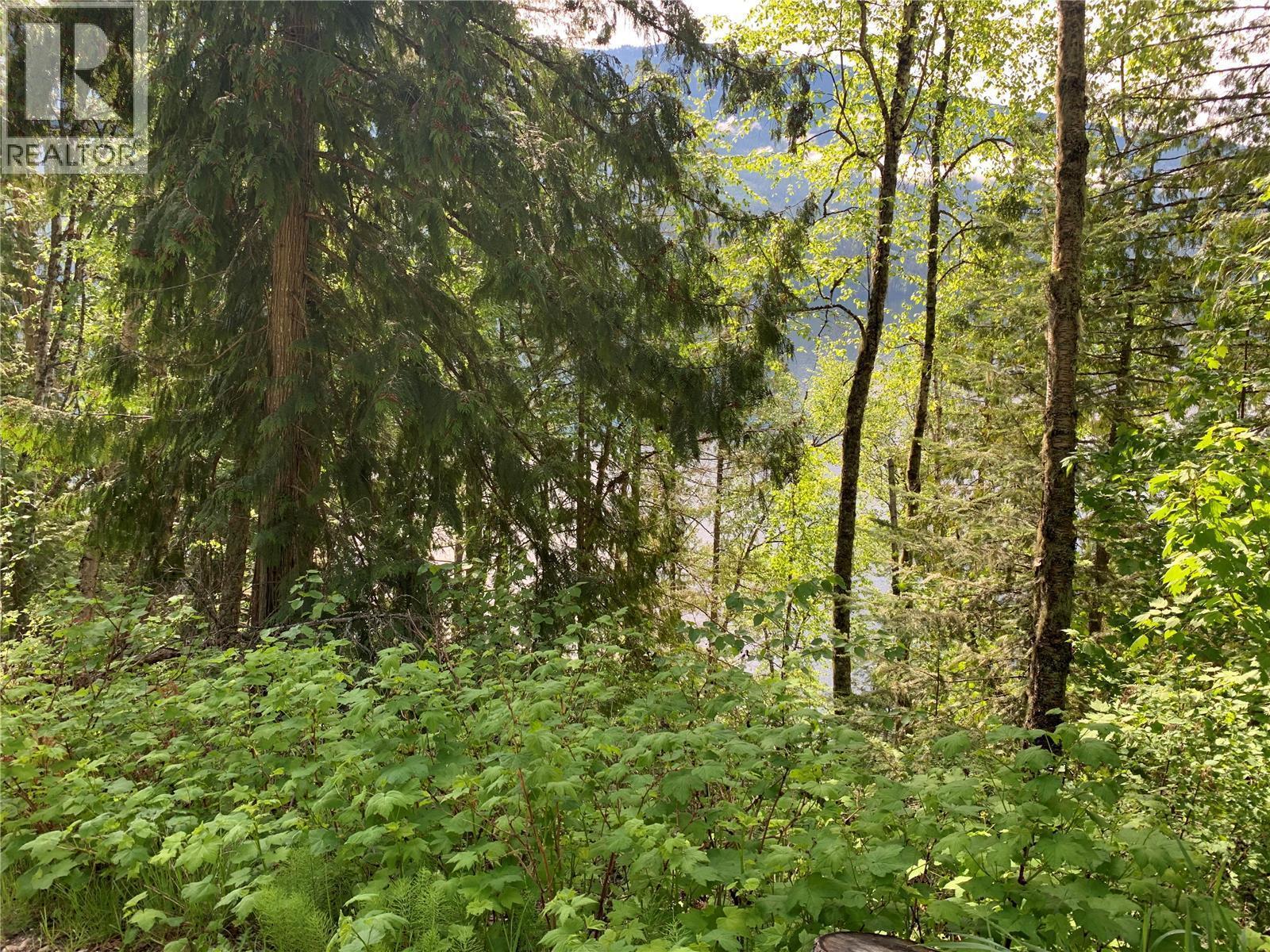 28 Simard Road, Mabel Lake, BC - Outdoor