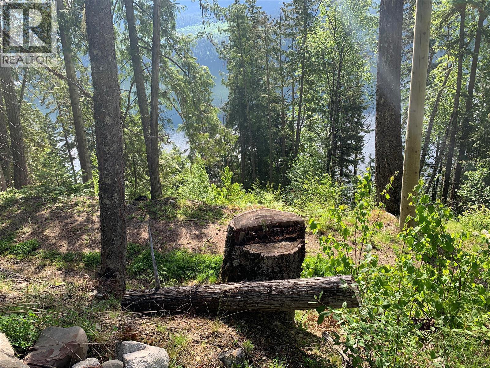 28 Simard Road, Mabel Lake, BC - Outdoor