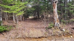 Ch. du Lac-aux-Ours Lac-Supérieur, QC J0T 1P0