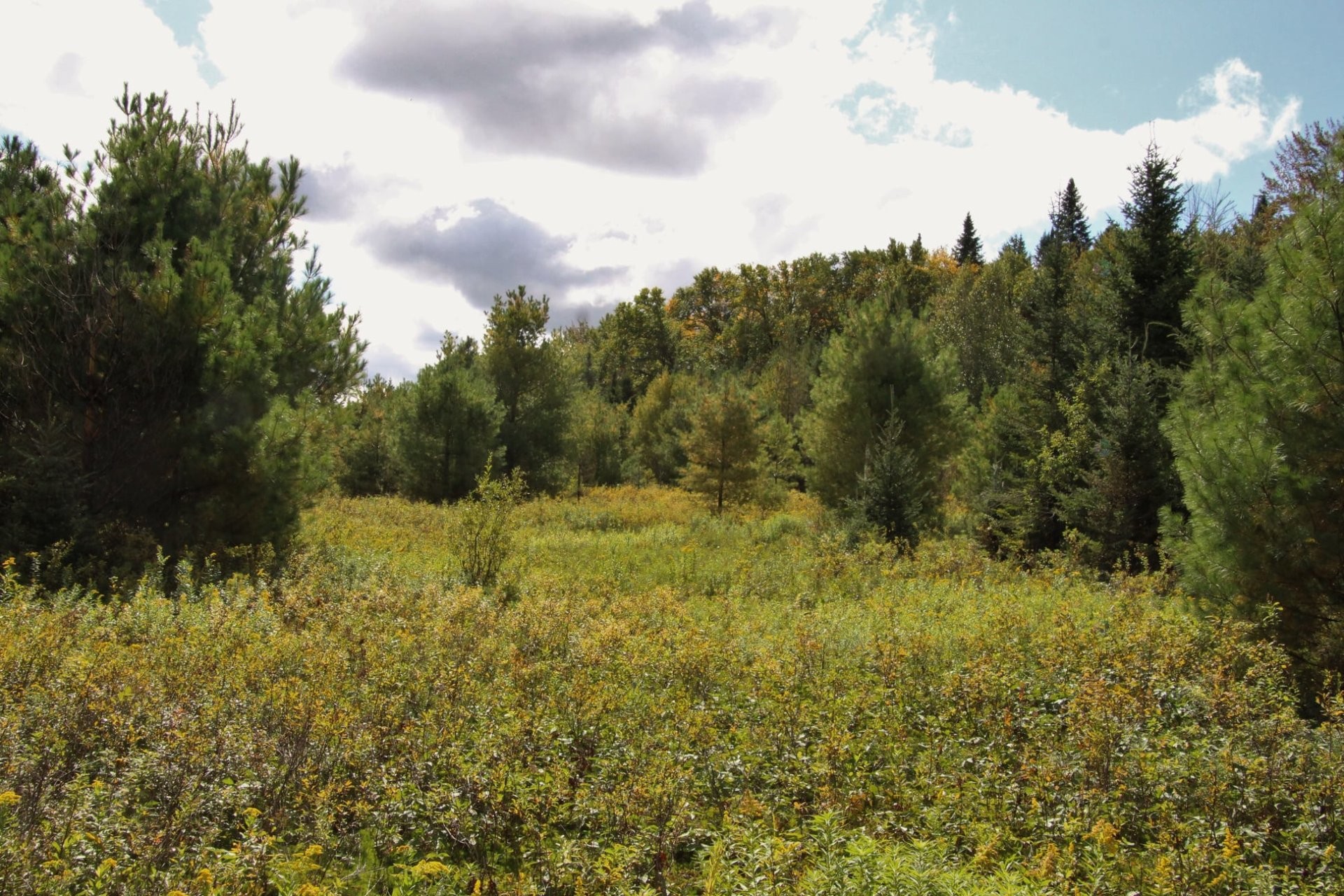 Exterior - 21 Allée Du Cavalier, Shannon, QC - Outdoor With View