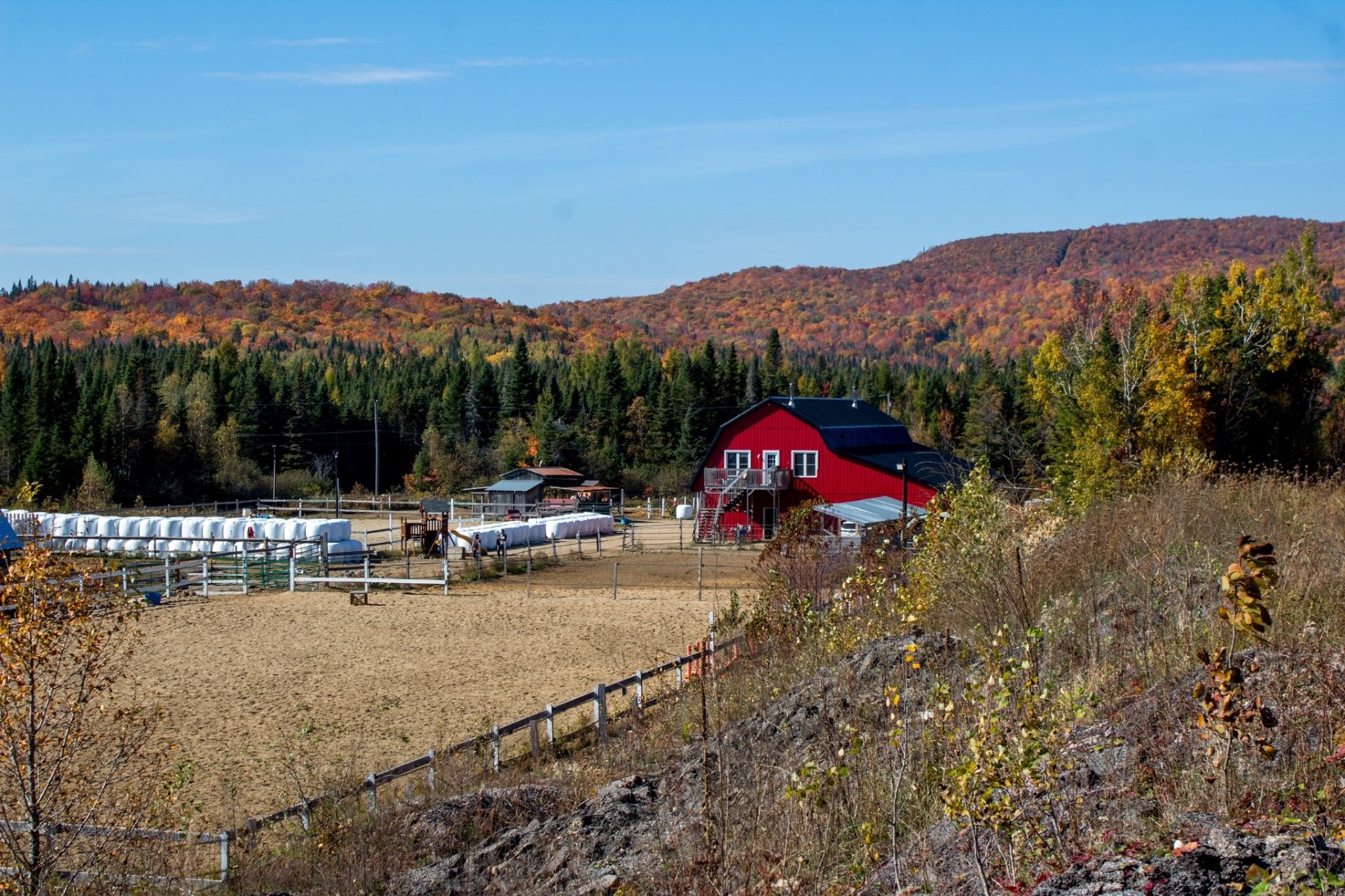 Exterior - 21 Allée Du Cavalier, Shannon, QC - Outdoor With View