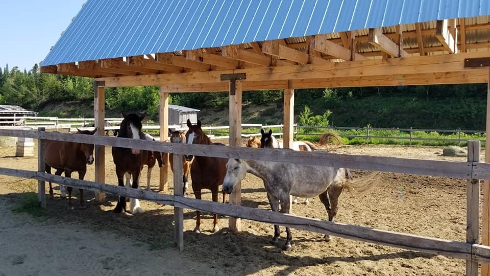 Exterior - 21 Allée Du Cavalier, Shannon, QC - Outdoor