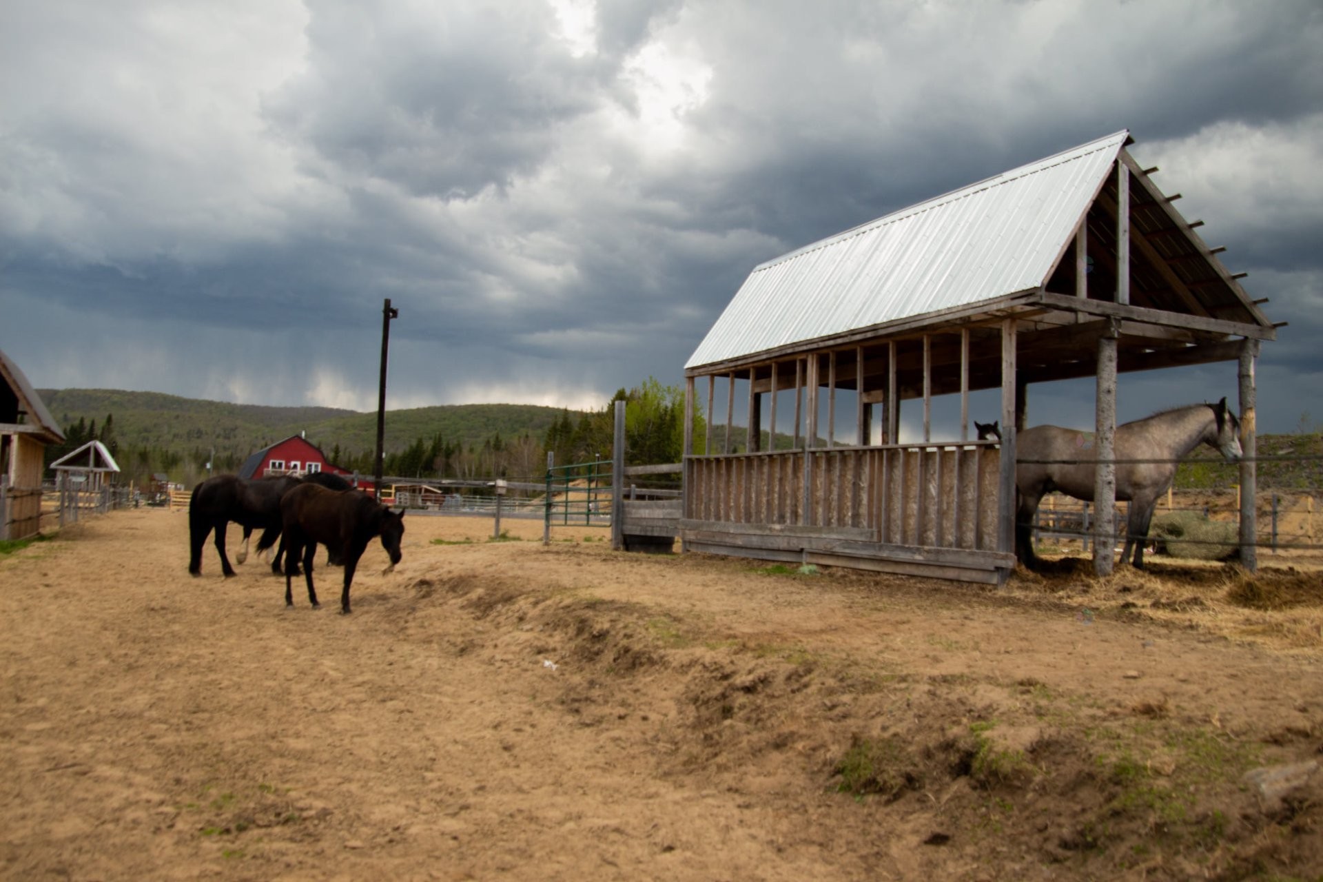Exterior - 21 Allée Du Cavalier, Shannon, QC - Outdoor