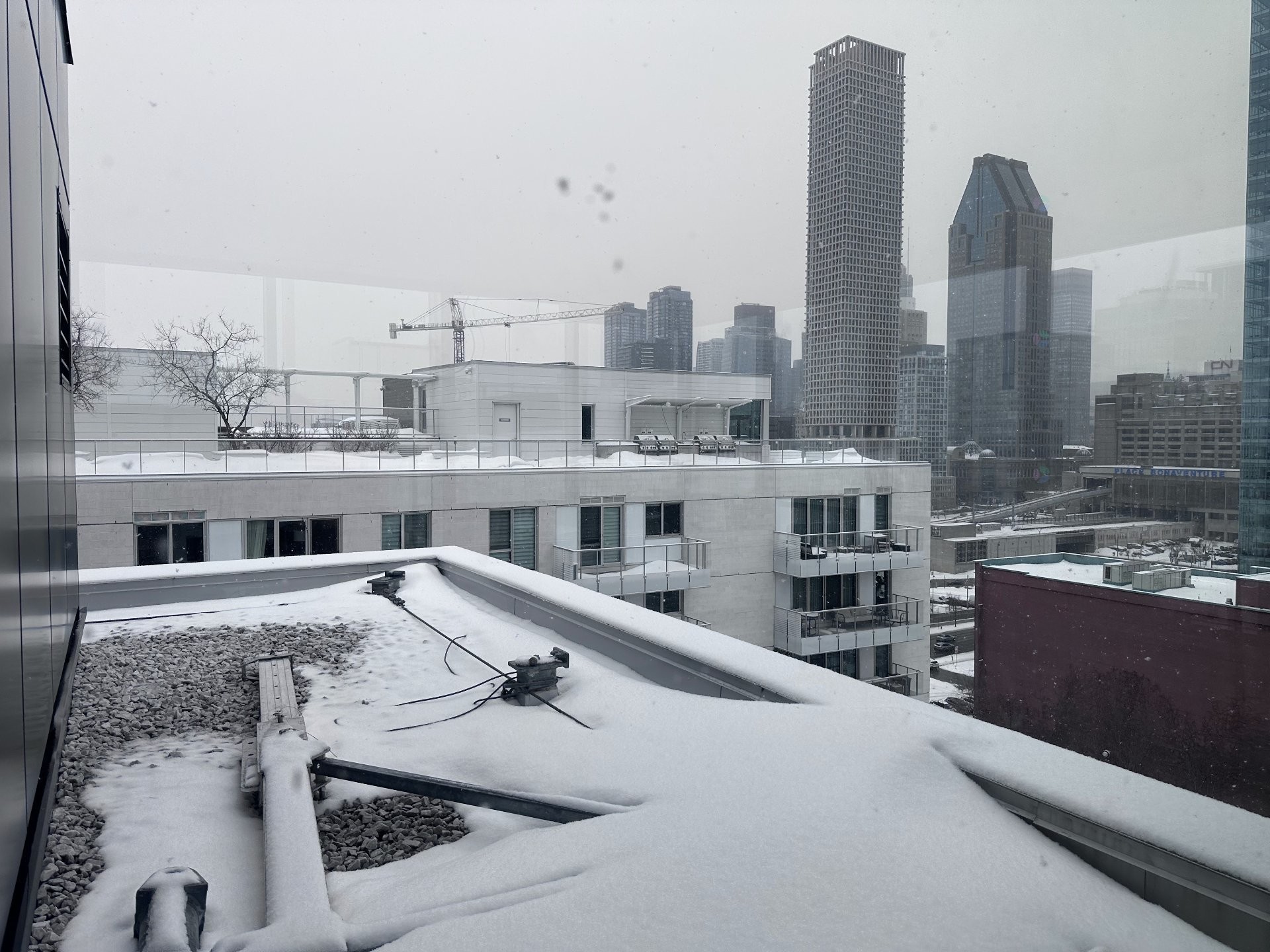 Vue - 214-738 Rue St-Paul O., Montréal (Ville-Marie), QC - Outdoor