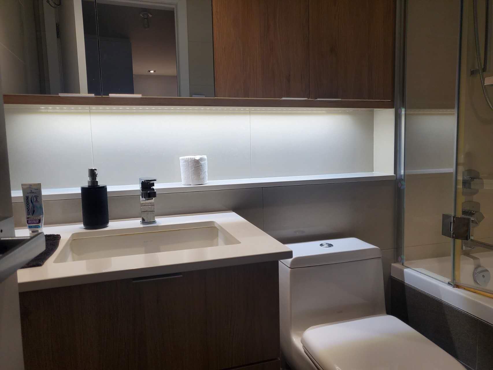 Salle de bains - 214-738 Rue St-Paul O., Montréal (Ville-Marie), QC - Indoor Photo Showing Bathroom