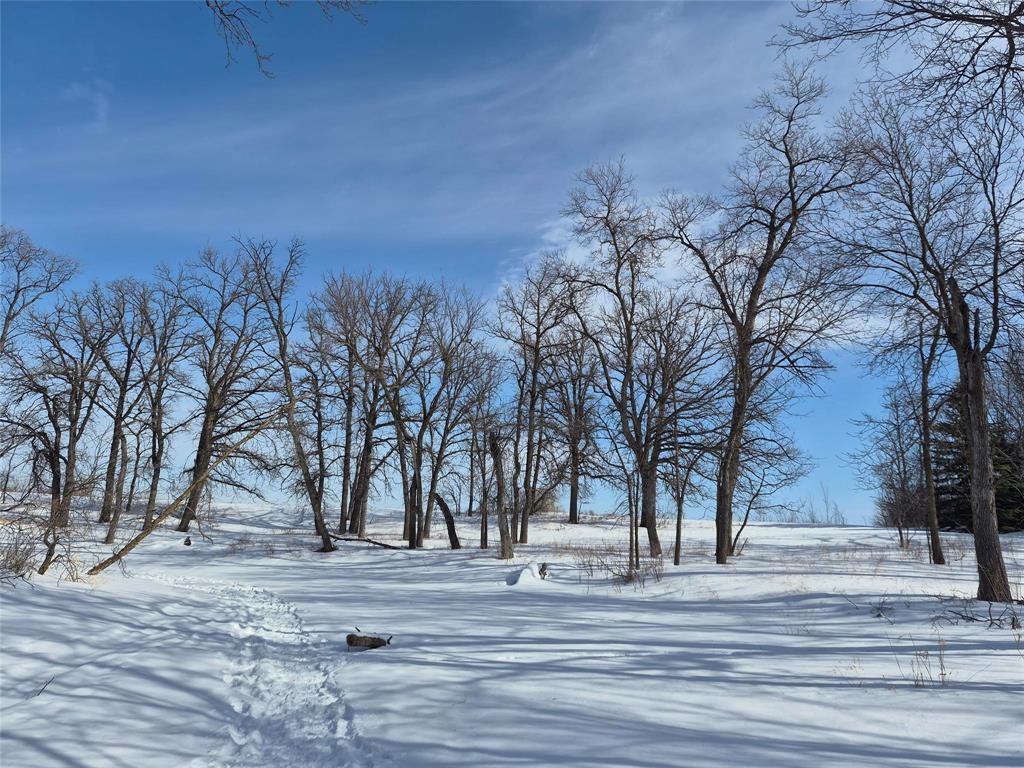 View of the back of the property from the river - 200 Sioux Road W, Winnipeg, MB