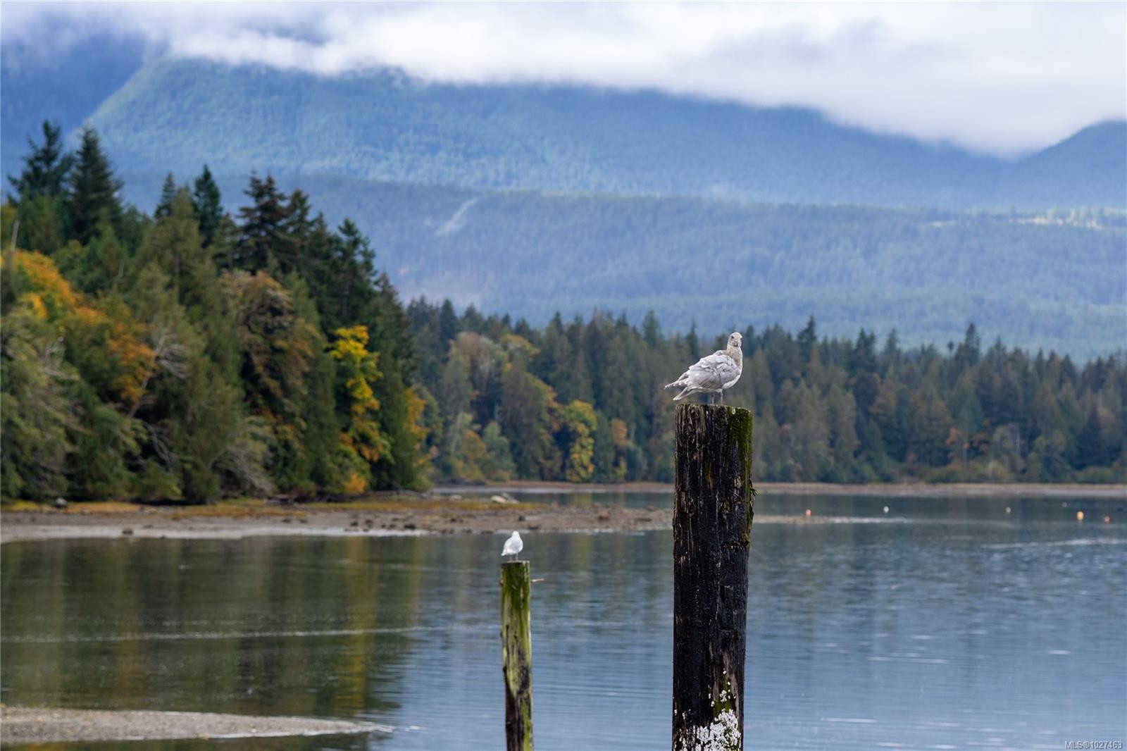 151 Burne Rd, Bowser, BC