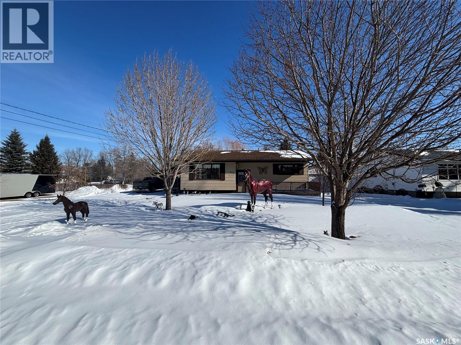 299 9Th Avenue, Broadview, SK - Outdoor