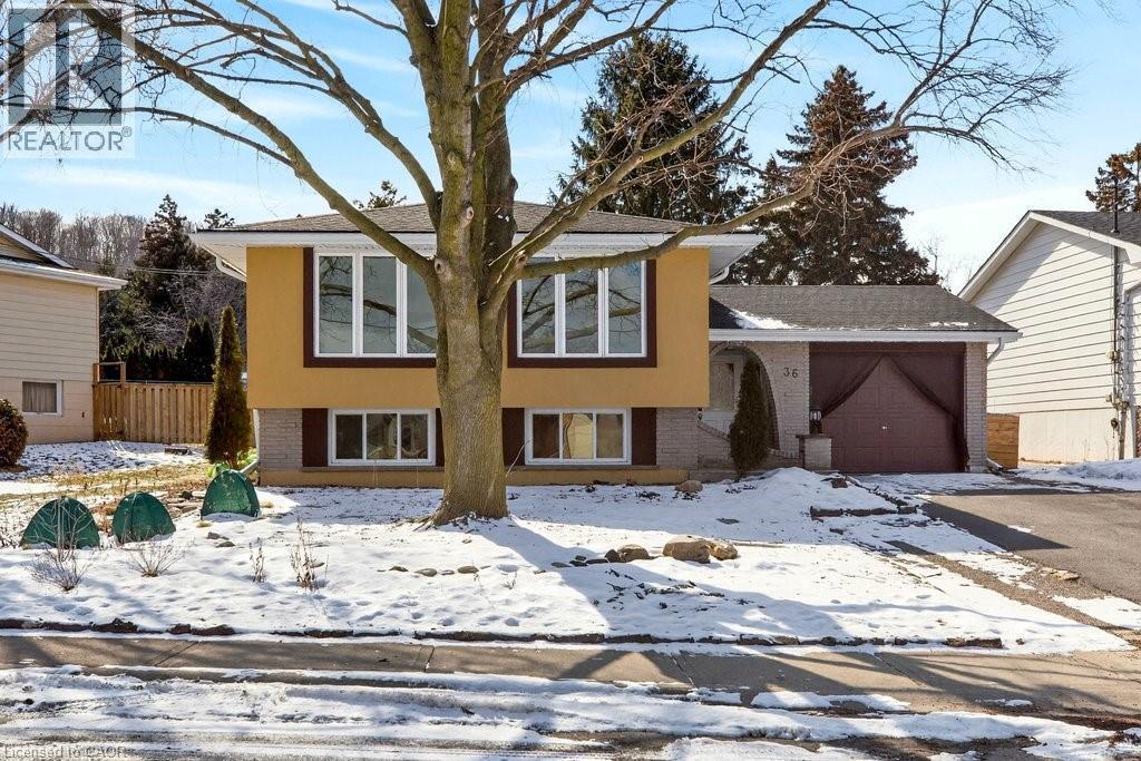 36 Hanover Place, Hamilton, ON - Outdoor