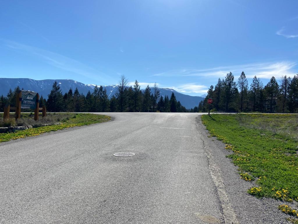 Copper Point Way, Windermere, BC - Outdoor With View