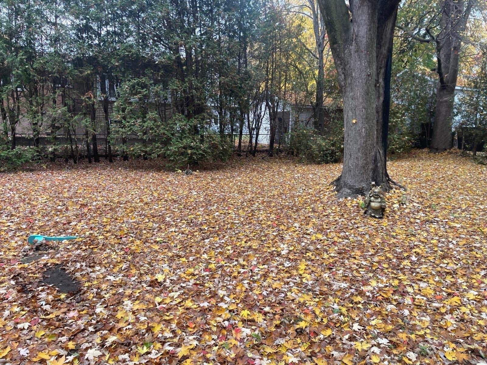 Extérieur - 19 33E Avenue, Sainte-Marthe-Sur-Le-Lac, QC